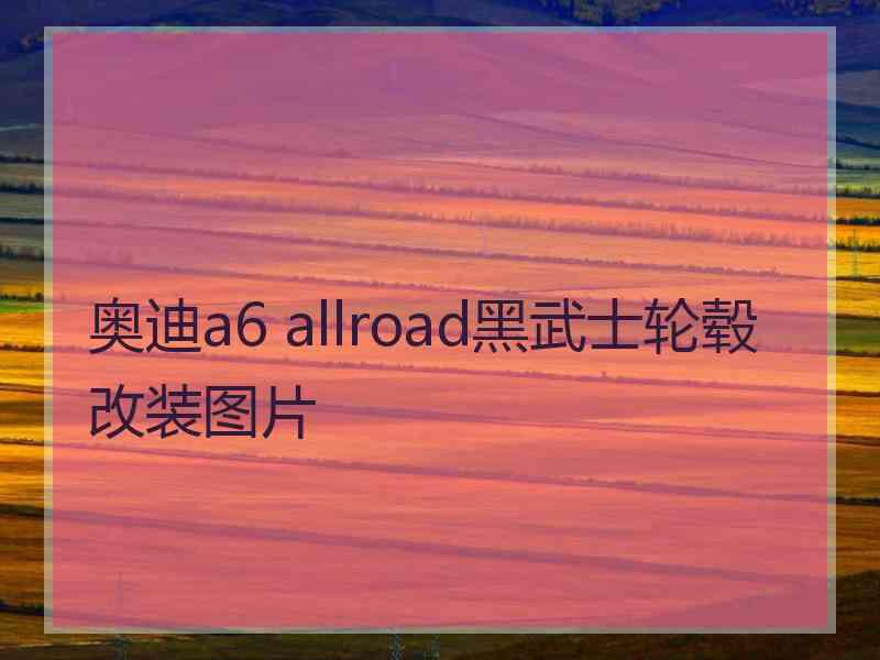 奥迪a6 allroad黑武士轮毂改装图片