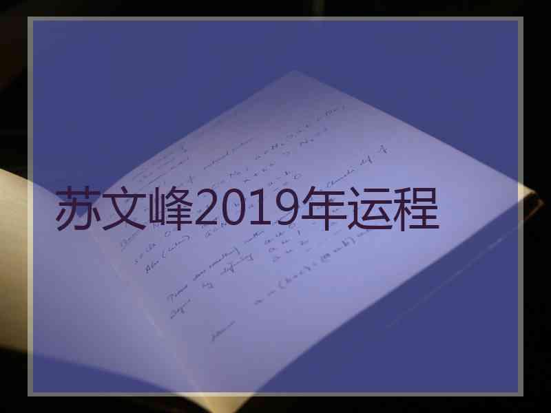 苏文峰2019年运程