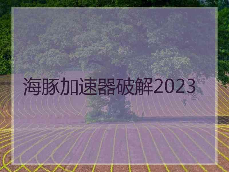 海豚加速器破解2023