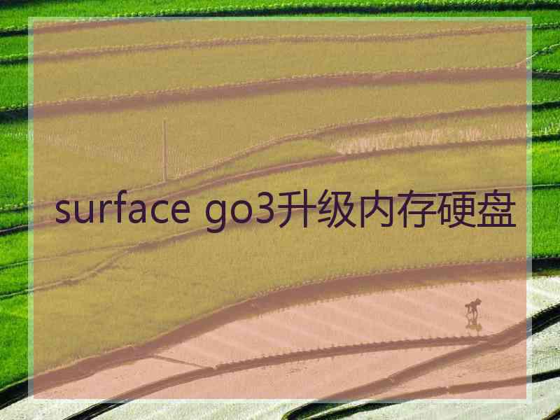 surface go3升级内存硬盘