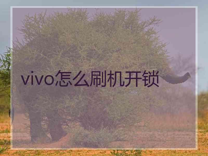 vivo怎么刷机开锁