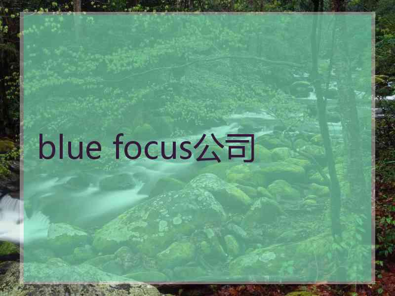 blue focus公司