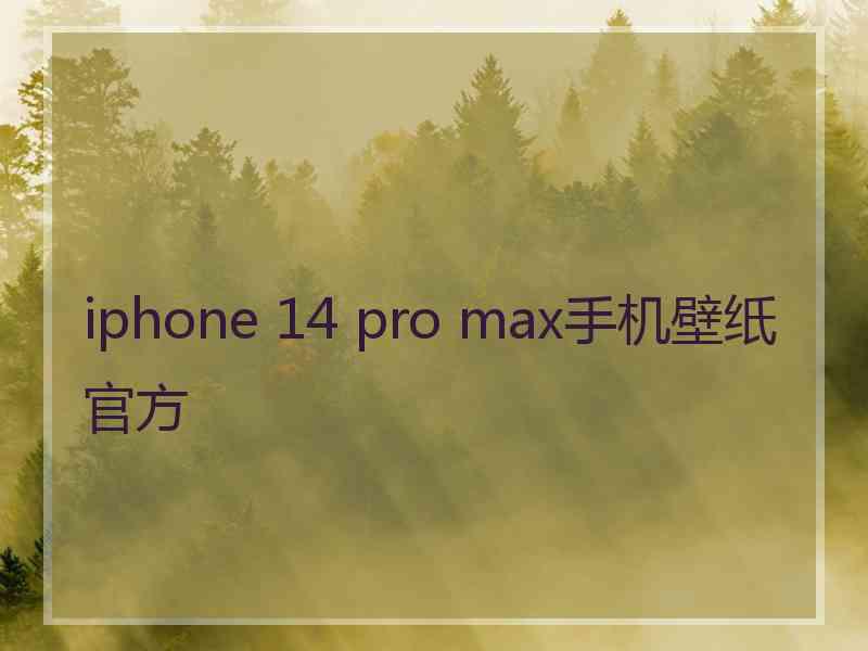 iphone 14 pro max手机壁纸官方