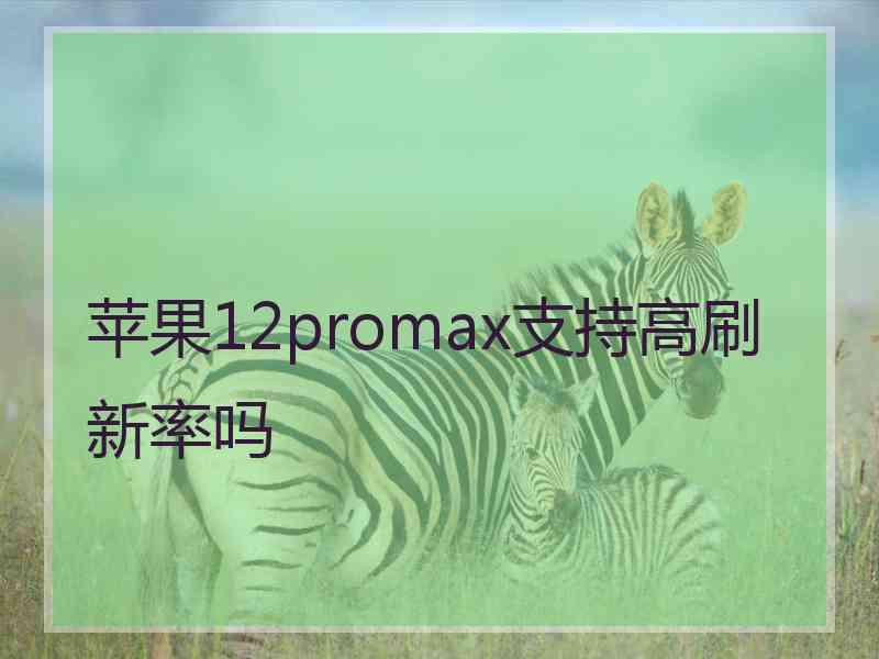 苹果12promax支持高刷新率吗