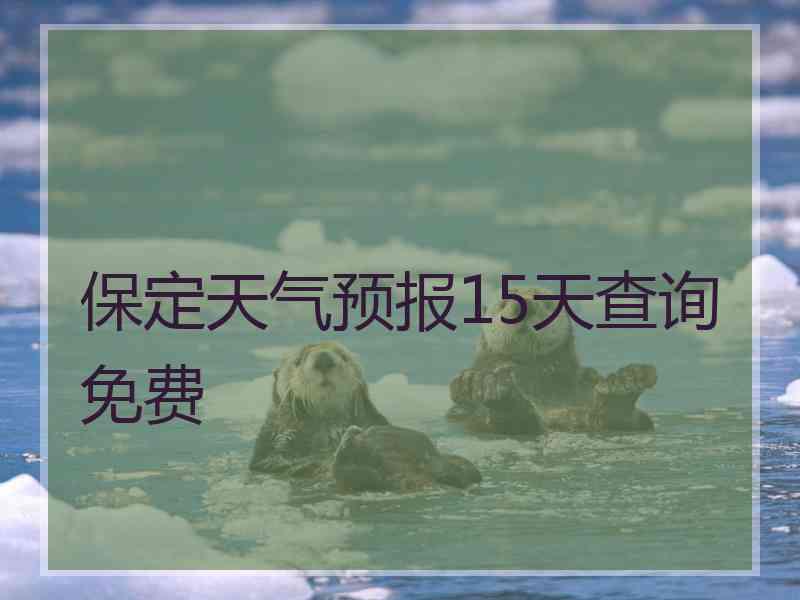 保定天气预报15天查询免费