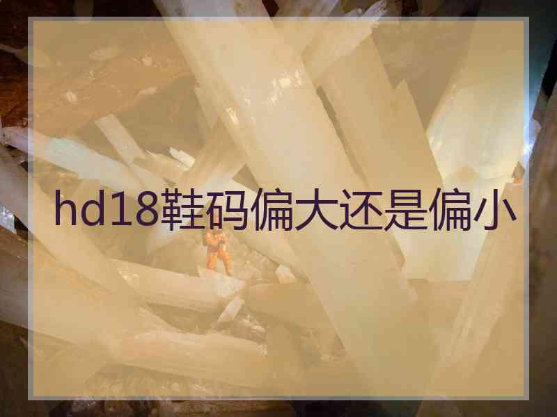 hd18鞋码偏大还是偏小