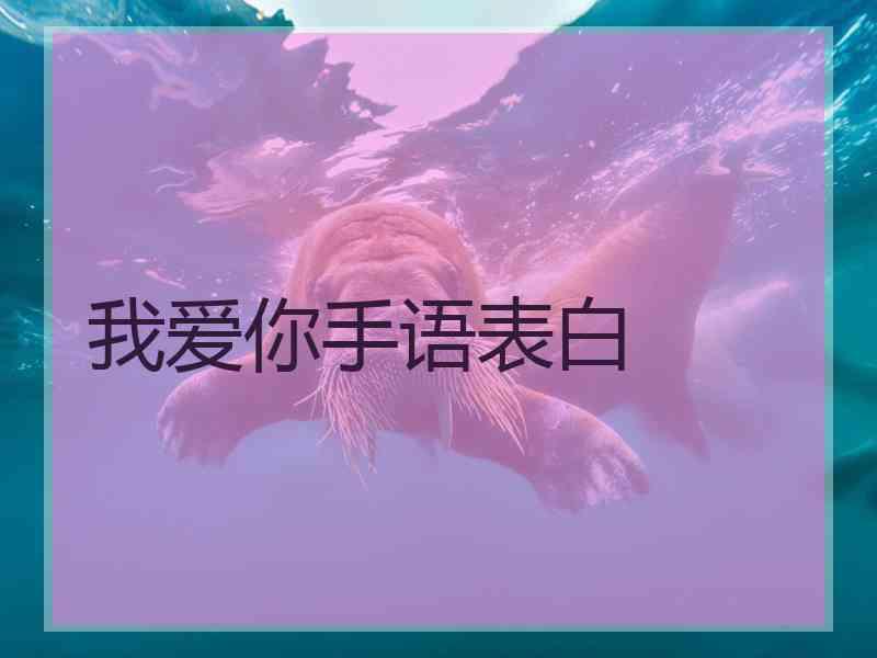 我爱你手语表白