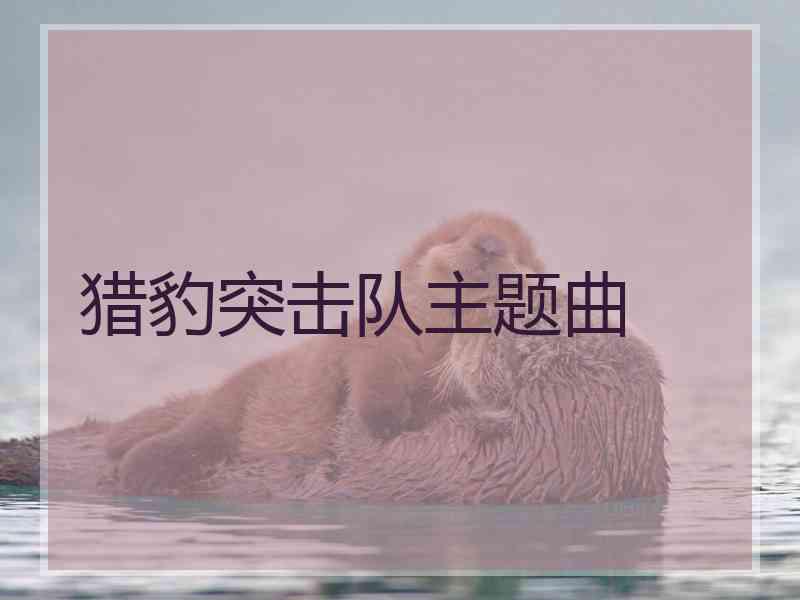 猎豹突击队主题曲