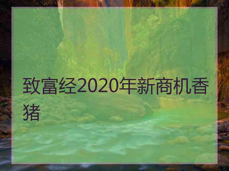 致富经2020年新商机香猪