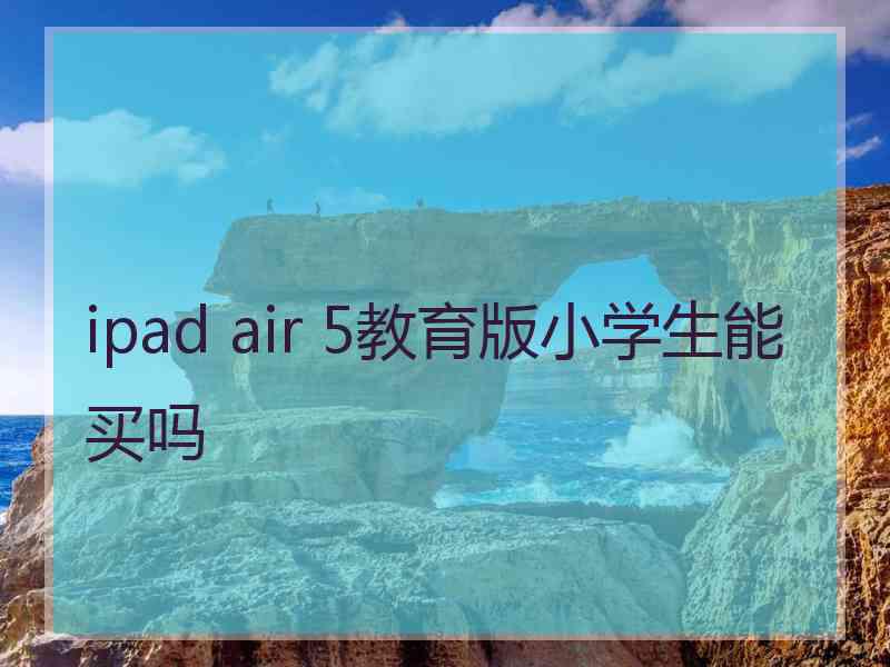 ipad air 5教育版小学生能买吗