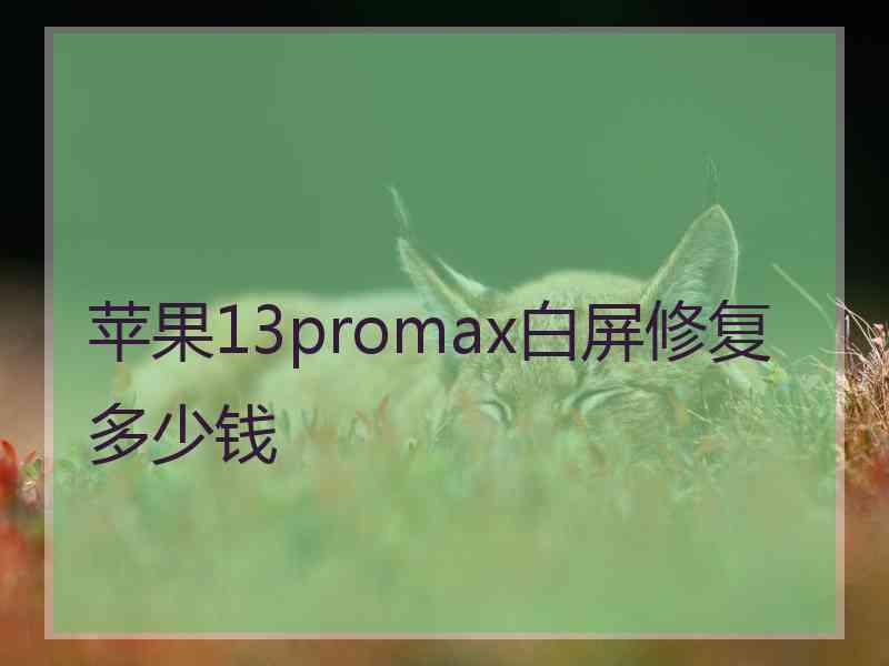 苹果13promax白屏修复多少钱