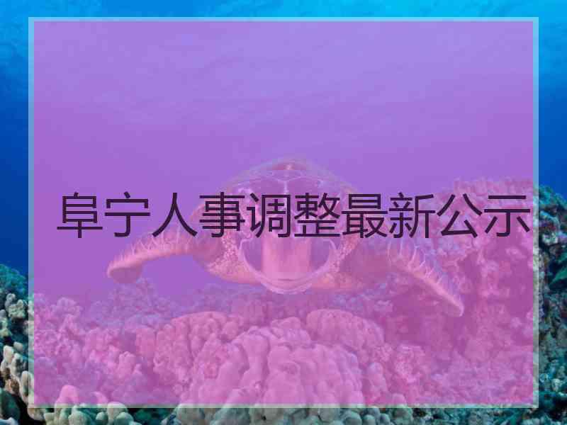 阜宁人事调整最新公示