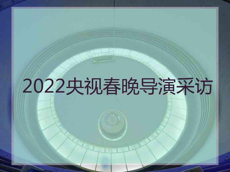 2022央视春晚导演采访