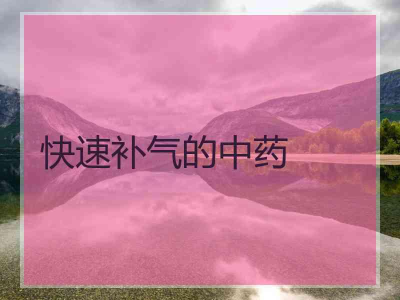 快速补气的中药