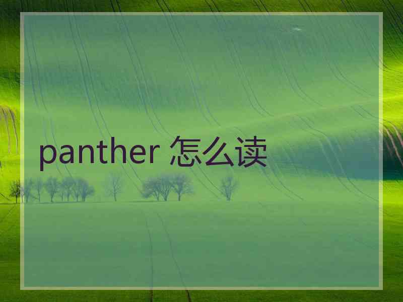 panther 怎么读