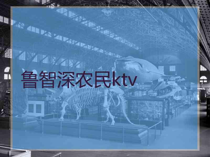 鲁智深农民ktv