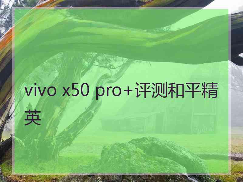 vivo x50 pro+评测和平精英