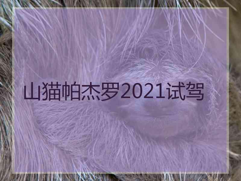 山猫帕杰罗2021试驾