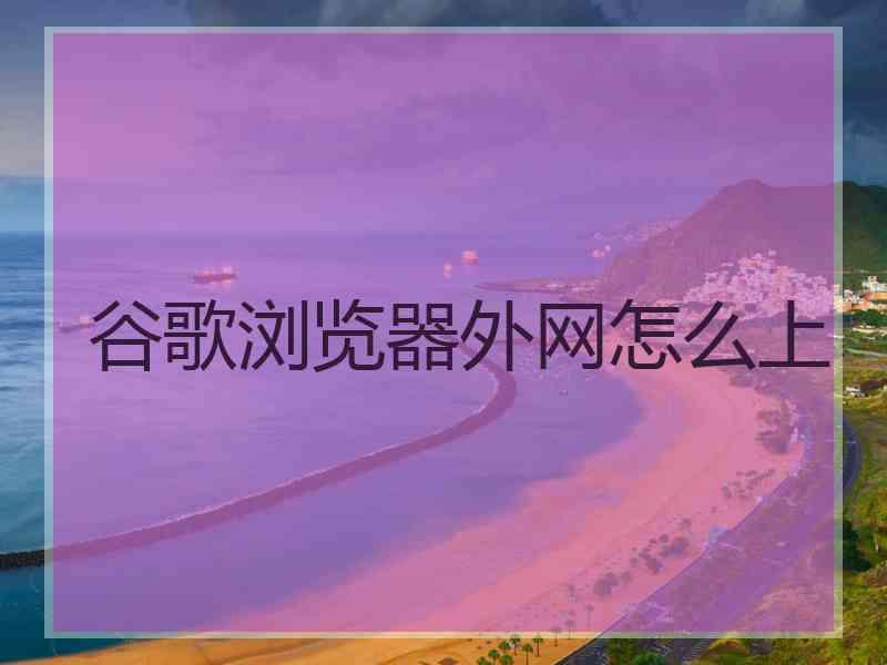 谷歌浏览器外网怎么上