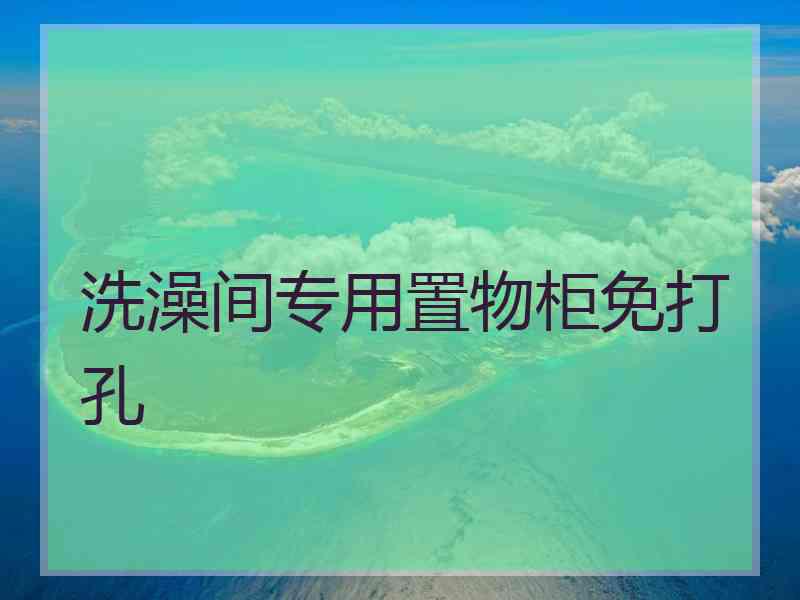 洗澡间专用置物柜免打孔