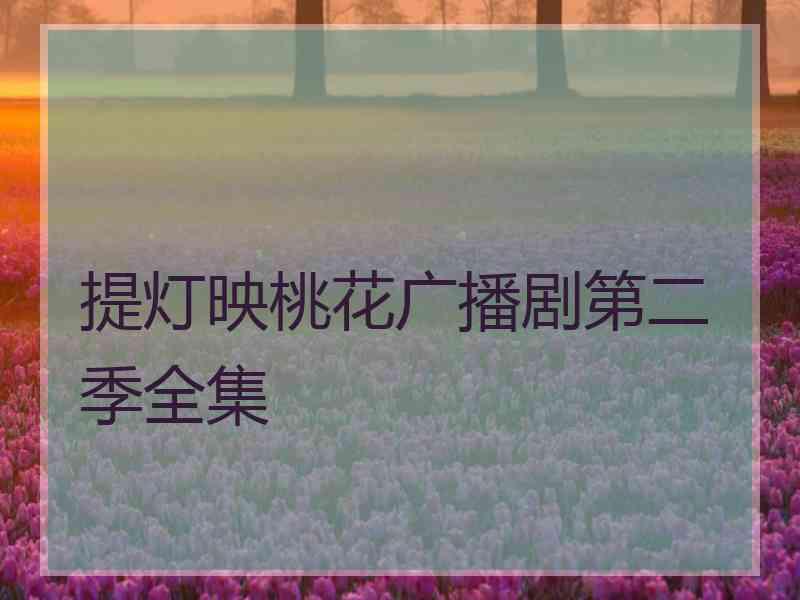 提灯映桃花广播剧第二季全集