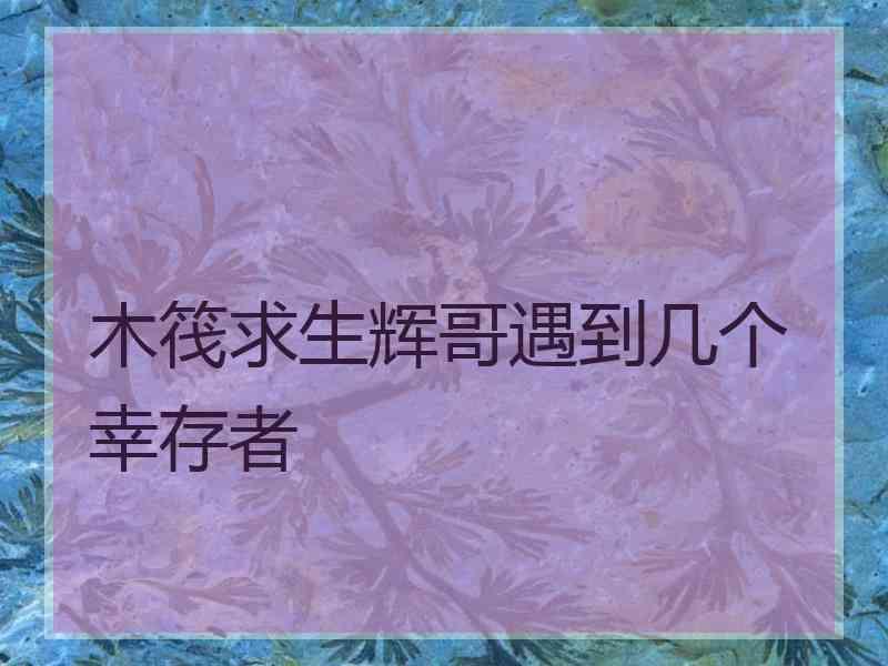 木筏求生辉哥遇到几个幸存者