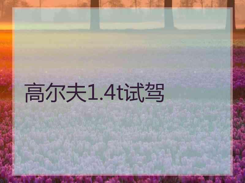 高尔夫1.4t试驾