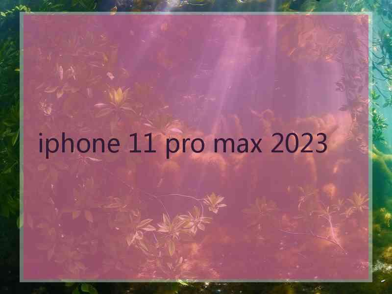 iphone 11 pro max 2023