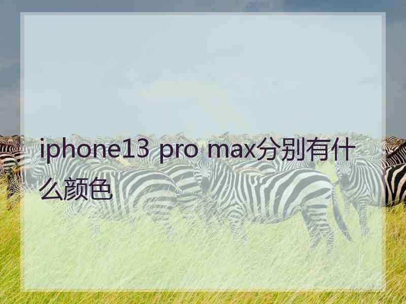 iphone13 pro max分别有什么颜色