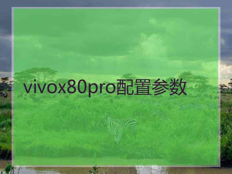 vivox80pro配置参数