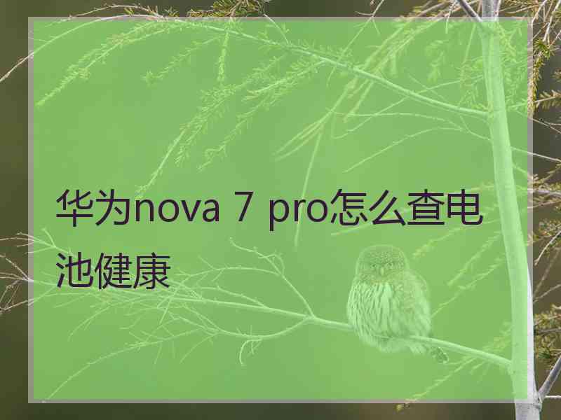 华为nova 7 pro怎么查电池健康