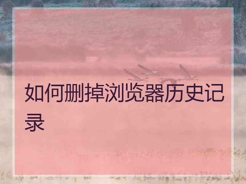 如何删掉浏览器历史记录