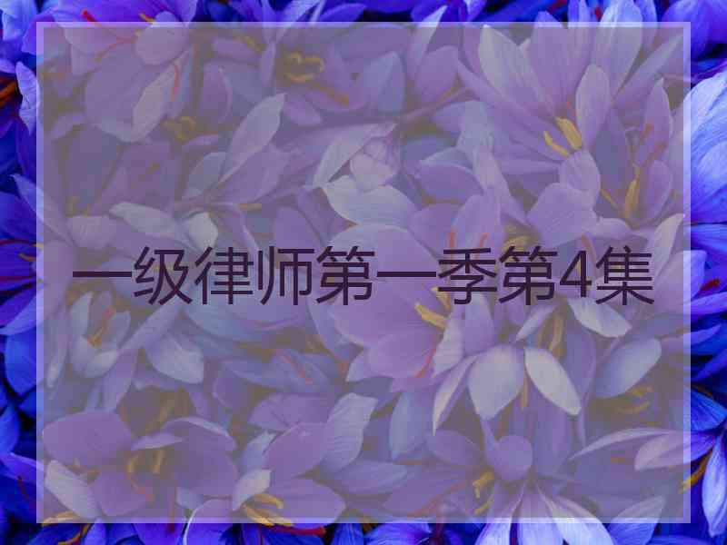 一级律师第一季第4集