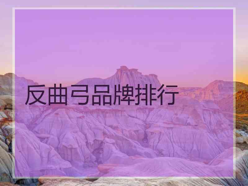 反曲弓品牌排行