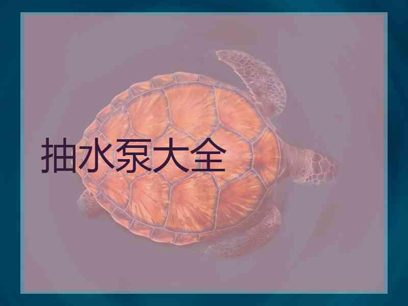 抽水泵大全