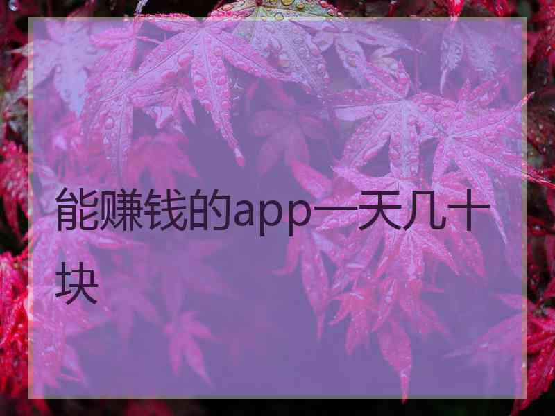 能赚钱的app一天几十块