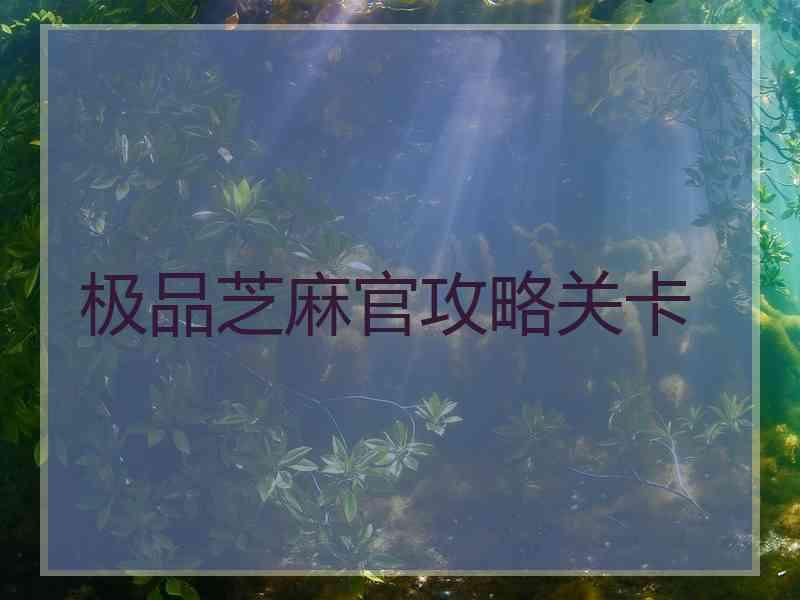 极品芝麻官攻略关卡