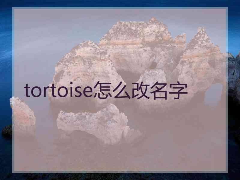 tortoise怎么改名字