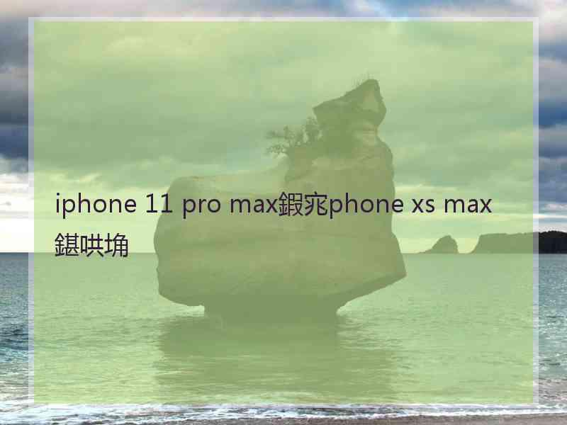 iphone 11 pro max鍜宨phone xs max鍖哄埆