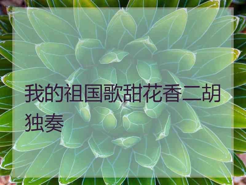 我的祖国歌甜花香二胡独奏