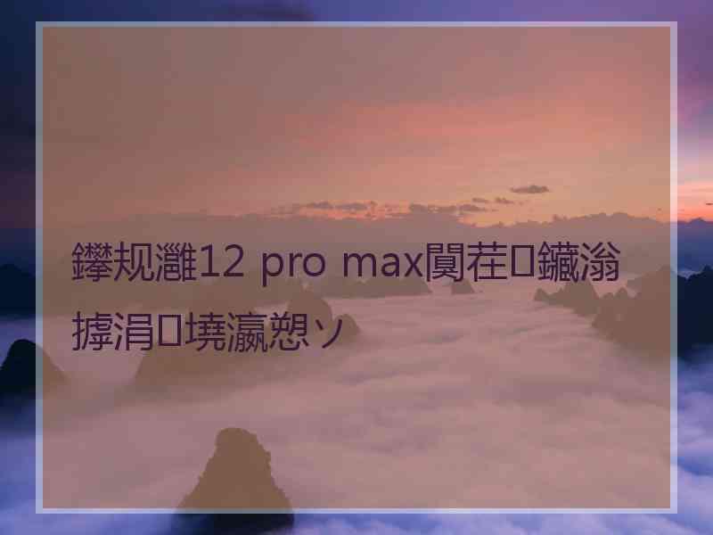 鑻规灉12 pro max闃茬鑶滃摢涓墝瀛愬ソ