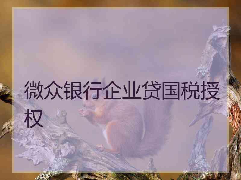 微众银行企业贷国税授权