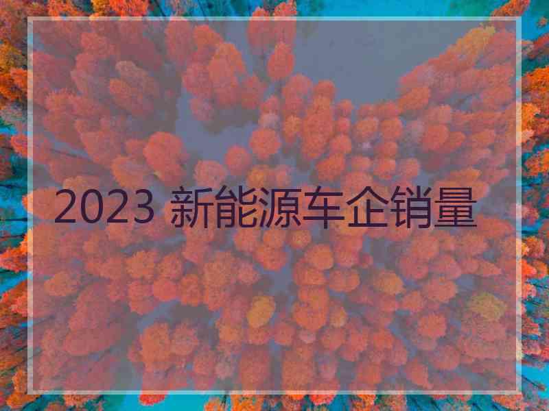 2023 新能源车企销量