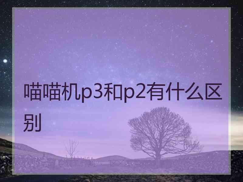 喵喵机p3和p2有什么区别