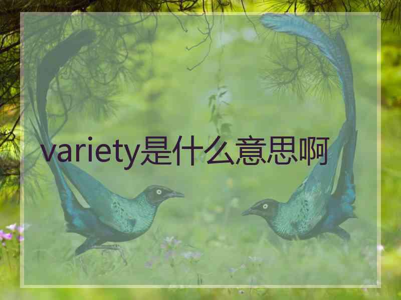 variety是什么意思啊