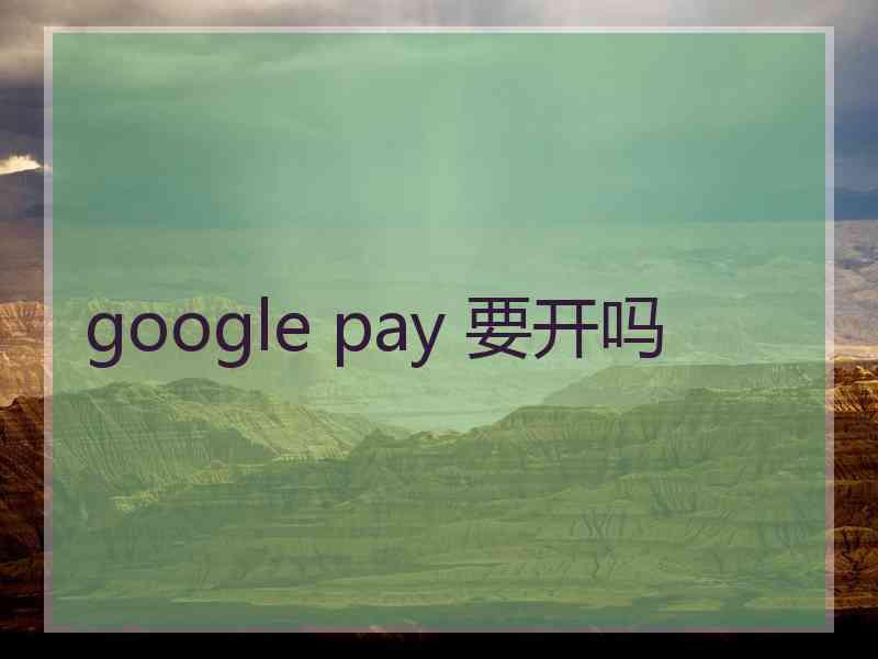 google pay 要开吗