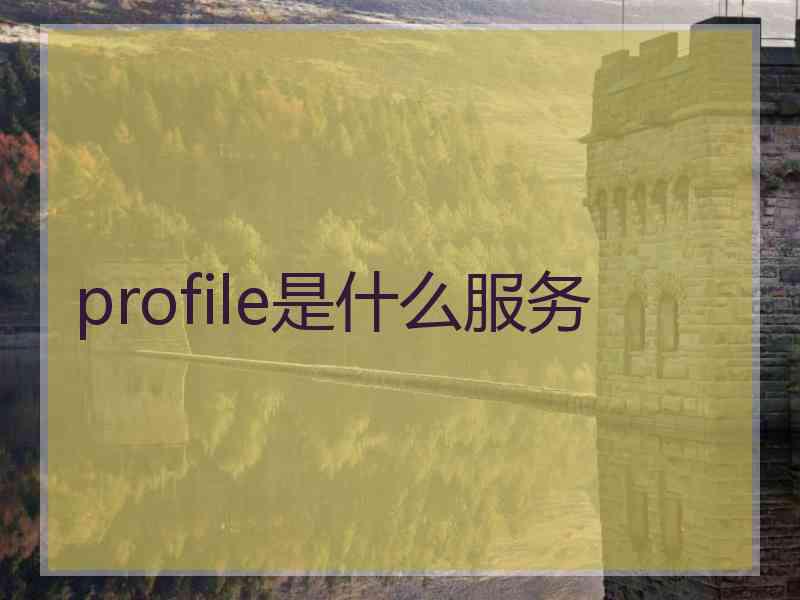 profile是什么服务