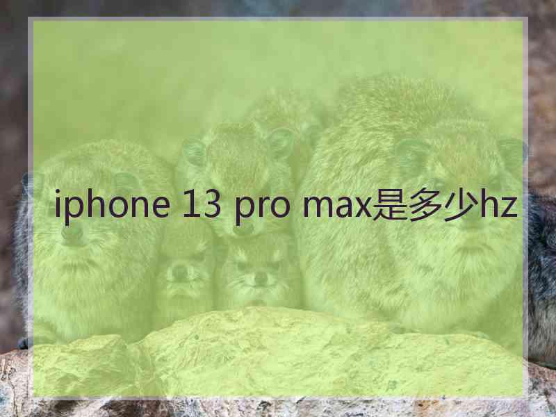 iphone 13 pro max是多少hz