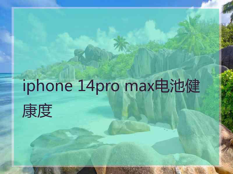 iphone 14pro max电池健康度