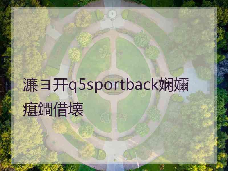 濂ヨ开q5sportback娴嬭瘎鐧借壊